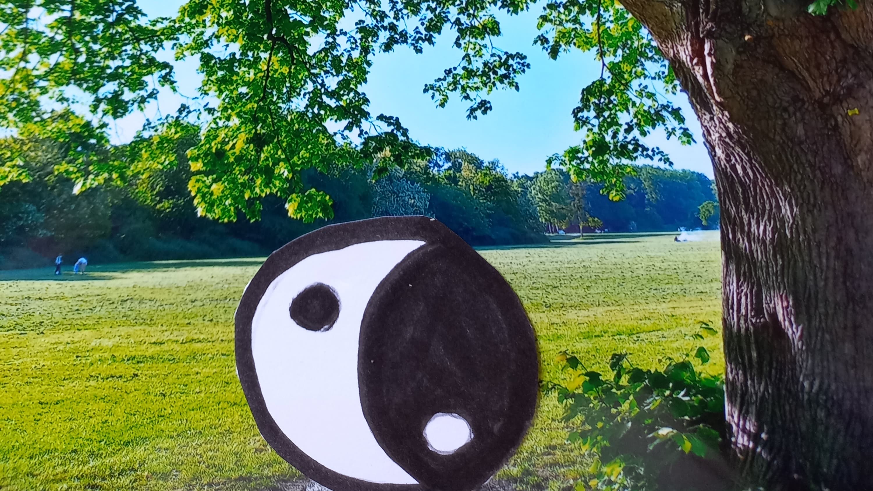 Qi Gong